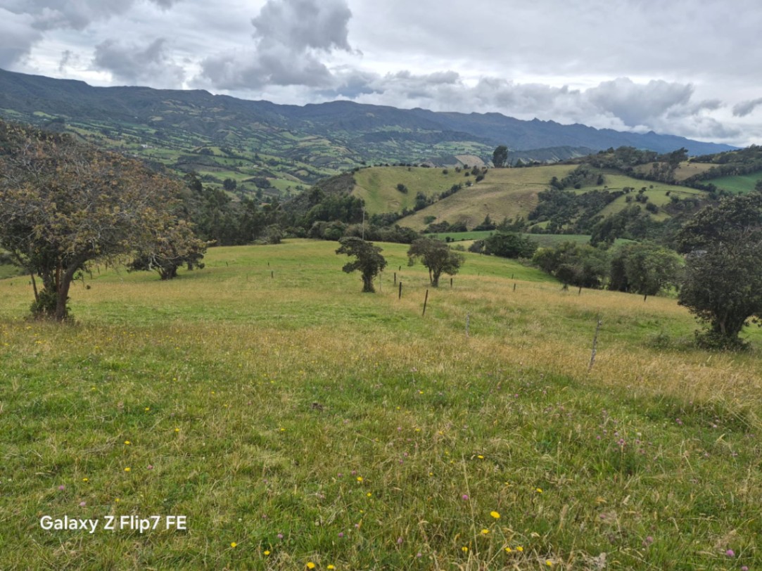Vía Vda. la Carbonera, Guatavita, Cundinamarca, Colombia 4